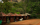 Blick auf Sigiriya Rock